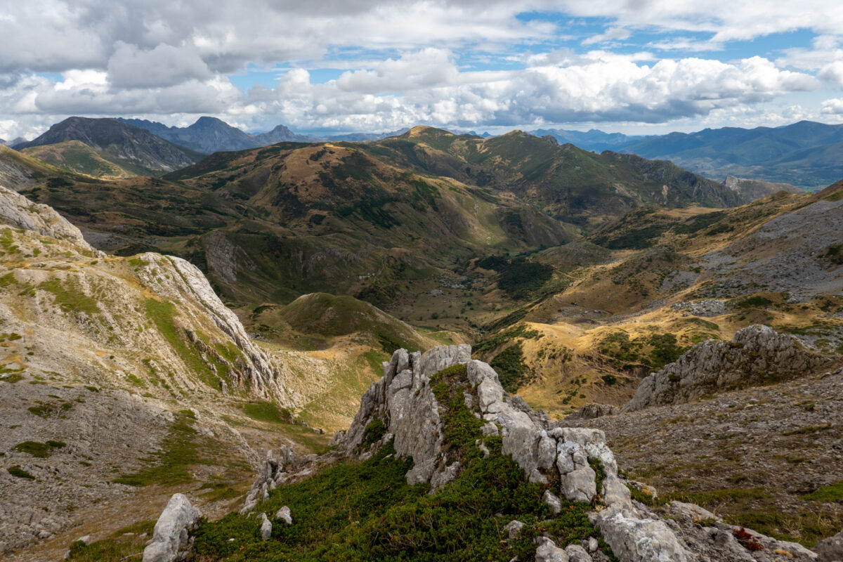 La Industrialización de Nuestros Montes